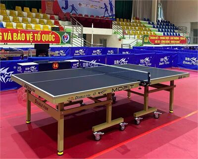 Top 5 bàn bóng bàn Song Ngư Double Fish giá rẻ, chính hãng nên mua