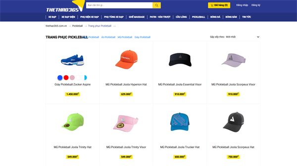 Thể Thao 365 – Chuyên trang thiết bị Pickleball hàng đầu tại Việt Nam