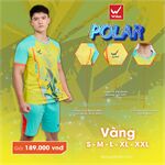 Quần áo bóng đá Wika Polar