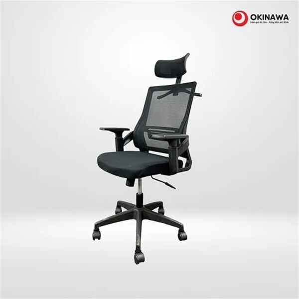 Ghế công thái học Okinawa 3010
