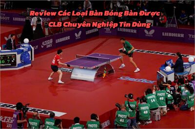Review Các Loại Bàn Bóng Bàn Được CLB Chuyên Nghiệp Tin Dùng
