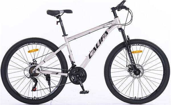Xe đạp địa hình thể thao Califa QL890