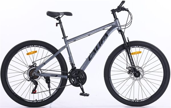 Xe đạp địa hình thể thao Califa QL890