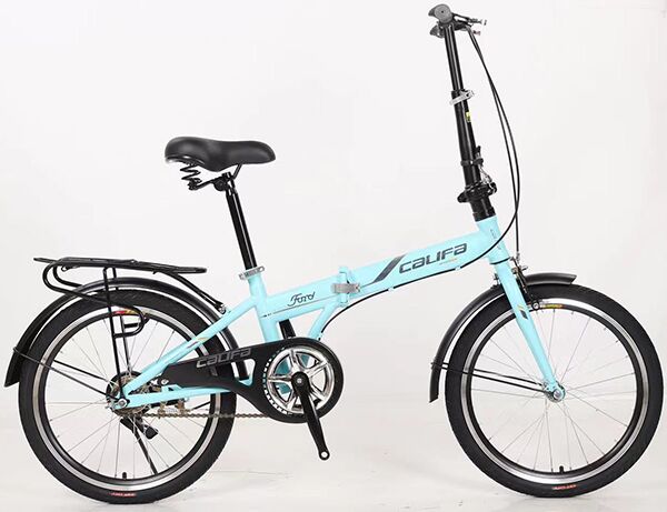 Xe đạp gấp Califa CG20