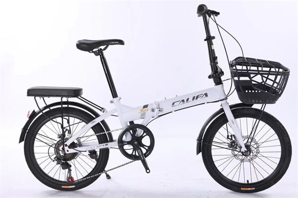 Xe đạp gấp Califa CG20D