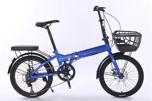 Xe đạp gấp Califa CG20D