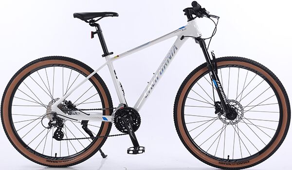 Xe đạp địa hình thể thao California 750cc