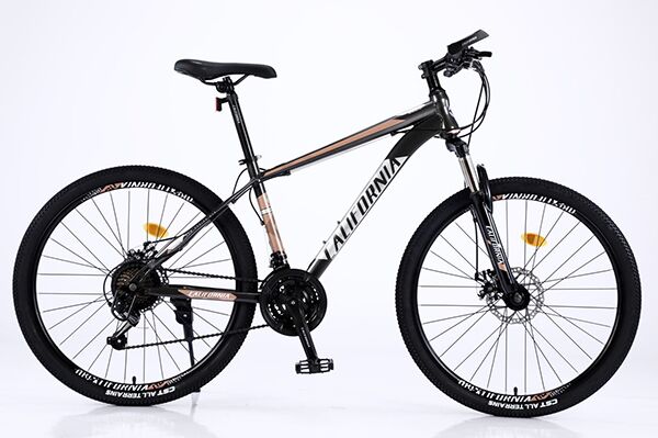 Xe đạp địa hình thể thao California 100cc