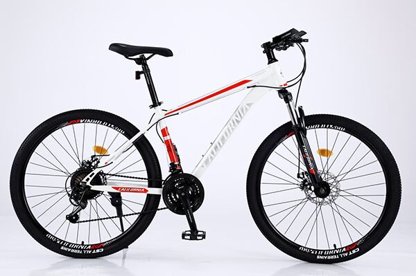 Xe đạp địa hình thể thao California 100cc