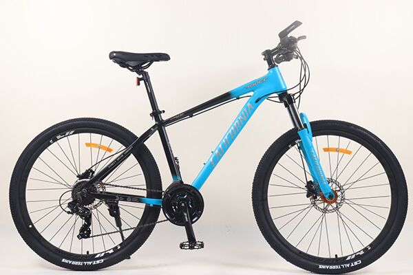 Xe đạp điện địa hình California 700cc