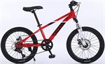 Xe đạp trẻ em CALLI M310