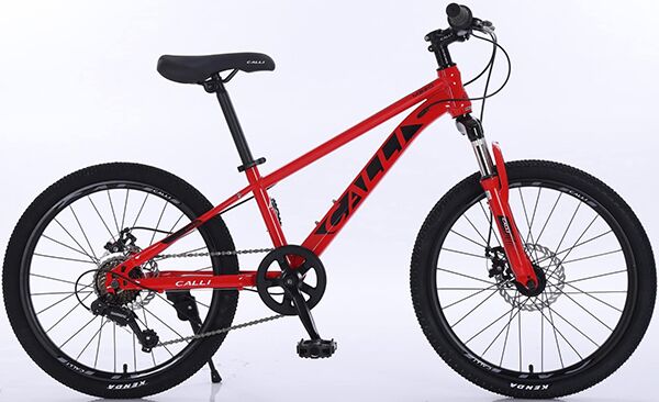 Xe đạp trẻ em CALLI M320