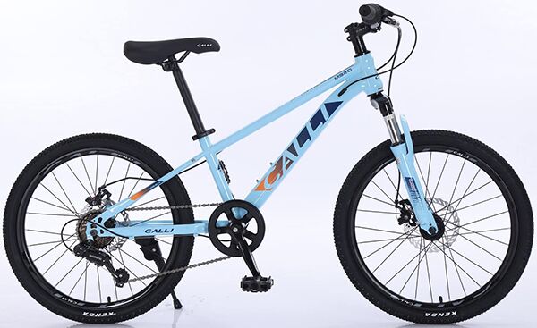 Xe đạp trẻ em CALLI M320
