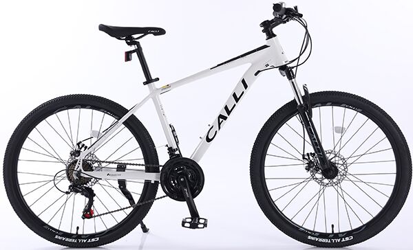 Xe đạp địa hình thể thao CALLI 2100