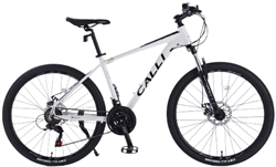 Xe đạp địa hình thể thao CALLI 2100
