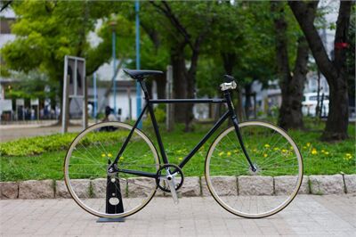 Top 3 xe đạp Fixed Gear Vintage giá rẻ cơ bản chính hãng nên mua