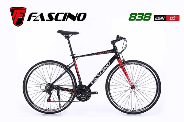 Xe đạp touring Fascino 838