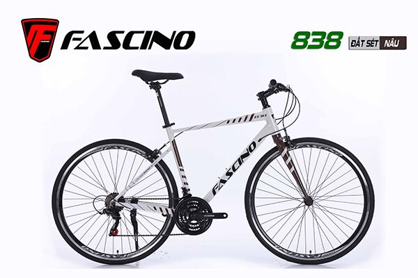 Xe đạp touring Fascino 838