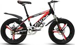 Xe đạp trẻ em Fascino FS-04