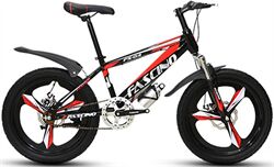 Xe đạp trẻ em Fascino FS-04