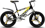 Xe đạp trẻ em Fascino FS-04