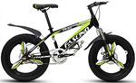 Xe đạp trẻ em Fascino FS-04