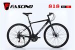 Xe đạp touring Fascino 818