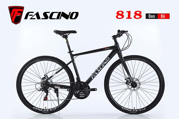 Xe đạp touring Fascino 818