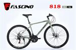 Xe đạp touring Fascino 818