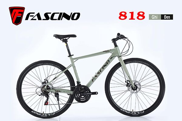Xe đạp touring Fascino 818