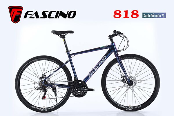 Xe đạp touring Fascino 818