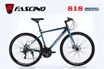 Xe đạp touring Fascino 818