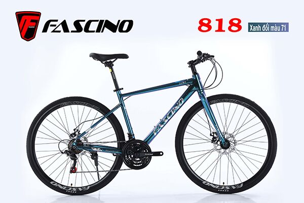 Xe đạp touring Fascino 818
