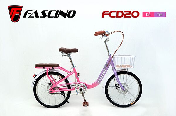 Xe đạp trẻ em Fascino FCD20