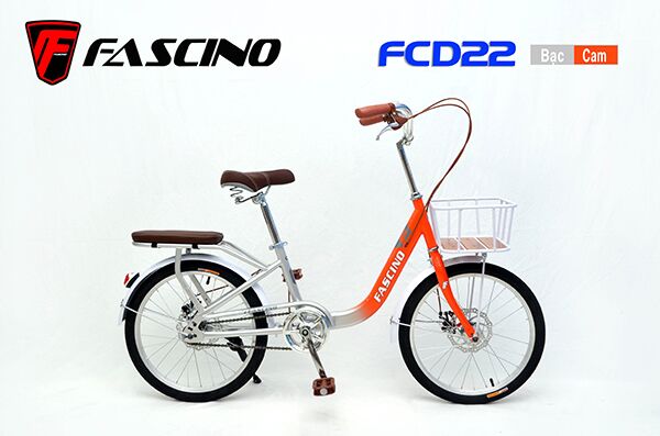 Xe đạp trẻ em Fascino FCD22