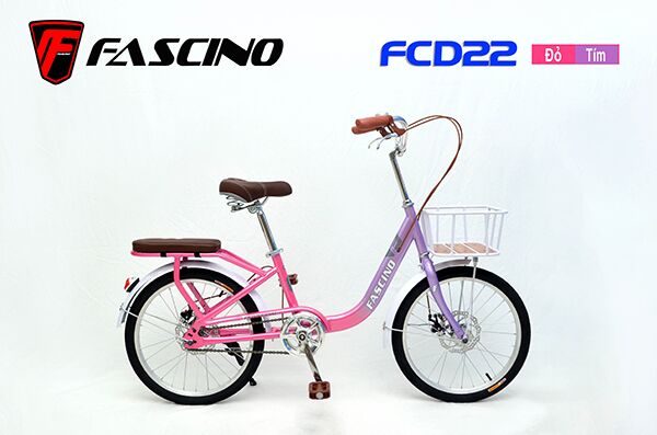 Xe đạp trẻ em Fascino FCD22