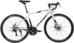 Xe đạp đua Fascino 828