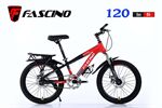Xe đạp trẻ em Fascino 120