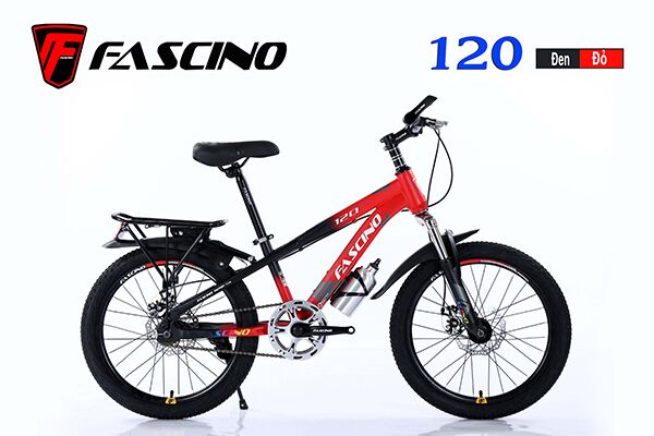 Xe đạp trẻ em Fascino 120