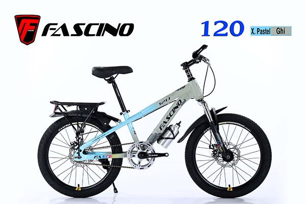 Xe đạp trẻ em Fascino 120