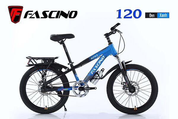 Xe đạp trẻ em Fascino 120