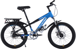 Xe đạp trẻ em Fascino 120