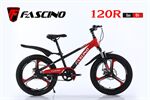 Xe đạp trẻ em Fascino 120R