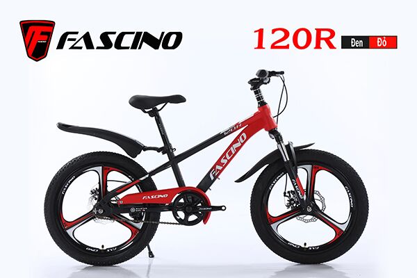 Xe đạp trẻ em Fascino 120R