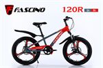 Xe đạp trẻ em Fascino 120R