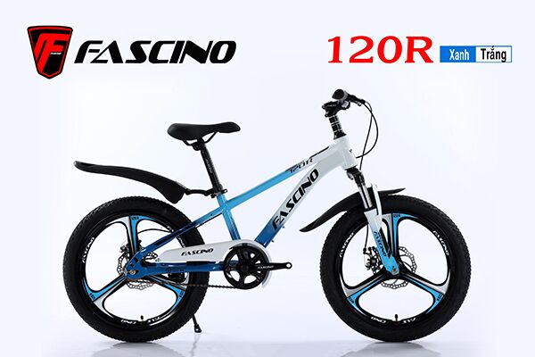 Xe đạp trẻ em Fascino 120R