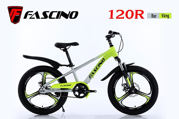 Xe đạp trẻ em Fascino 120R