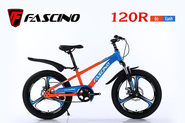 Xe đạp trẻ em Fascino 120R