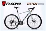 Xe đạp đua Fascino TRITON