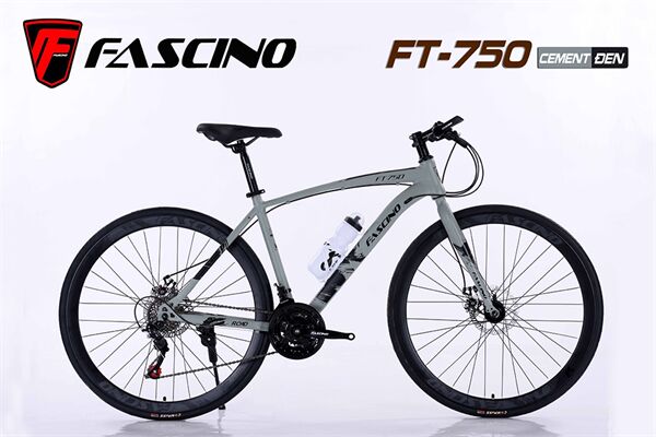 Xe đạp touring Fascino FT-750